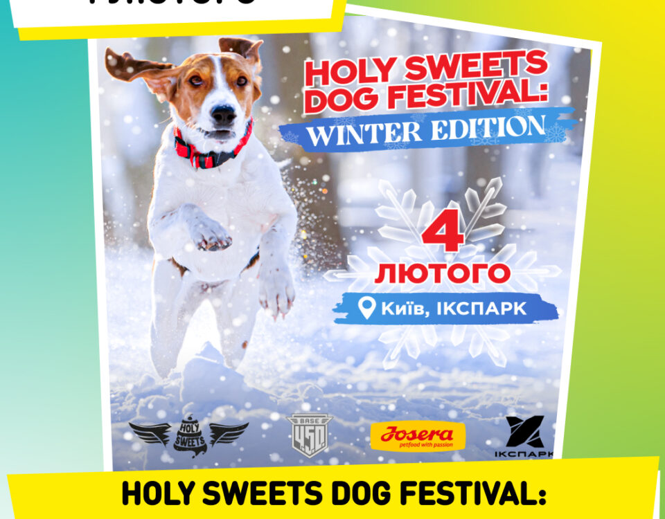 HOLY SWEETS DOG FESTIVAL: Winter edition