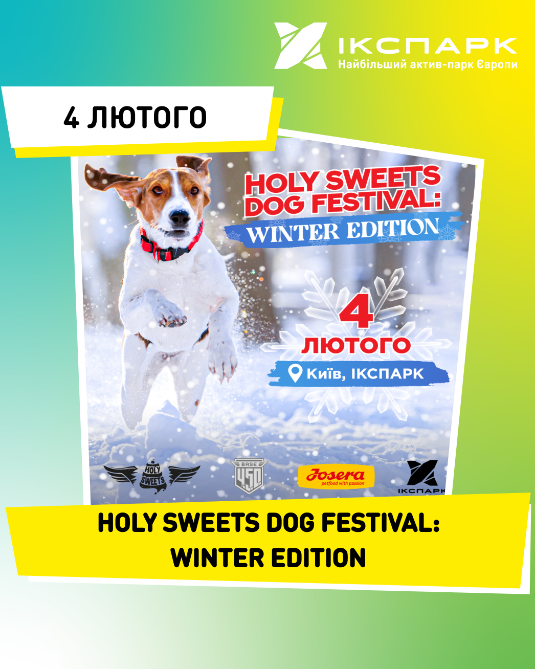 HOLY SWEETS DOG FESTIVAL: Winter edition