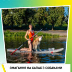 Змагання на сапах з собаками 🐶