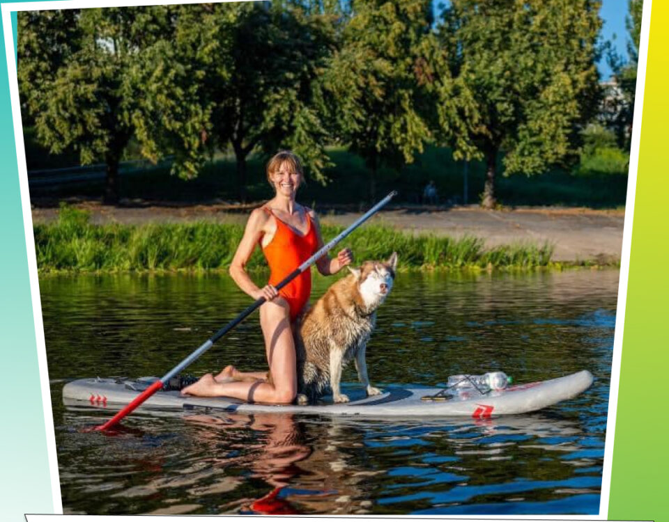 Змагання на сапах з собаками 🐶