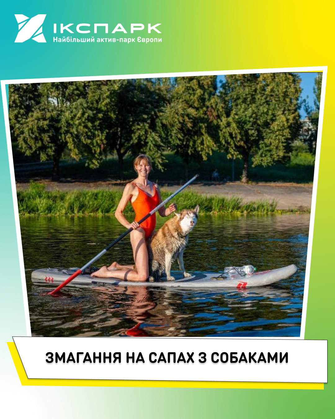 Змагання на сапах з собаками 🐶