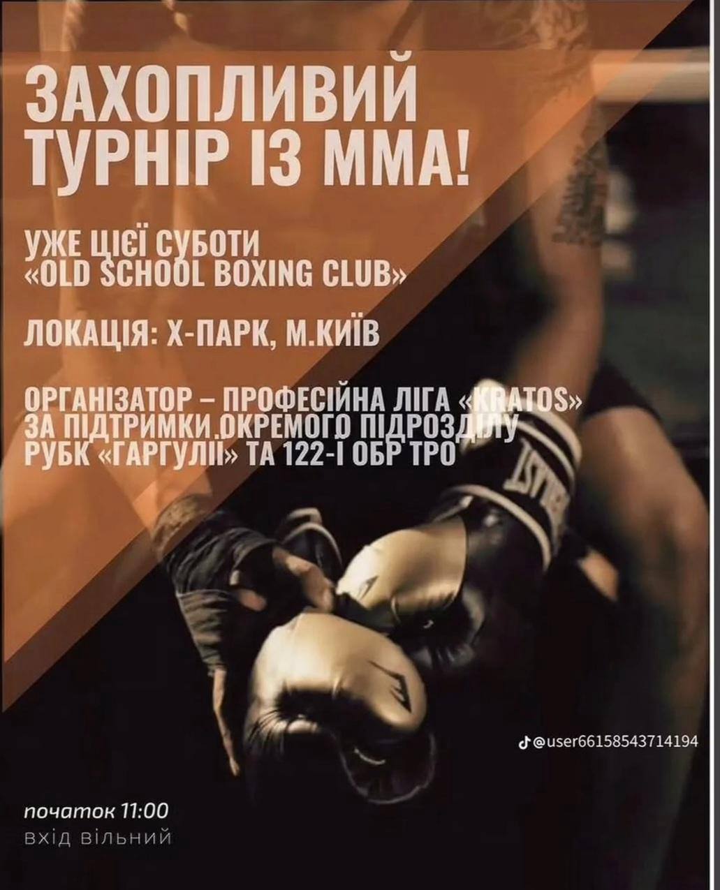 Захопливий турнір із ММА