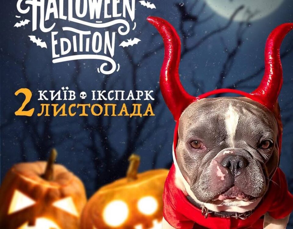 Holy Doggy: Halloween Edition