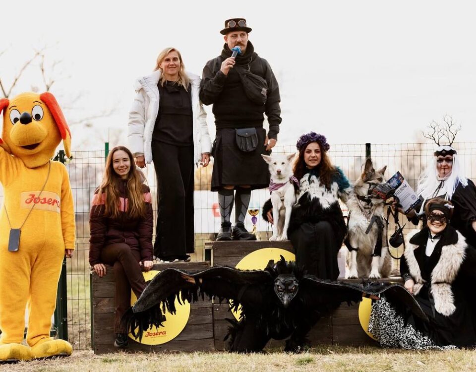Друзі, ділимось відеозвітом з Halloween-пікніка Holy Doggy Друзі, ділимось відеозвітом з Halloween-пікніка Holy Doggy