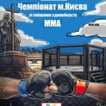Чемпіонат м. Києва зі змішаних єдиноборств ММА