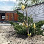 Озеленення Ріно Парку в Ікспарку: простір для відпочинку серед природи