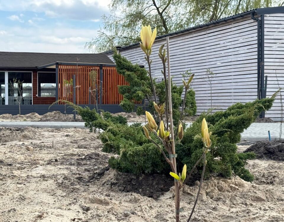 Озеленення Ріно Парку в Ікспарку: простір для відпочинку серед природи