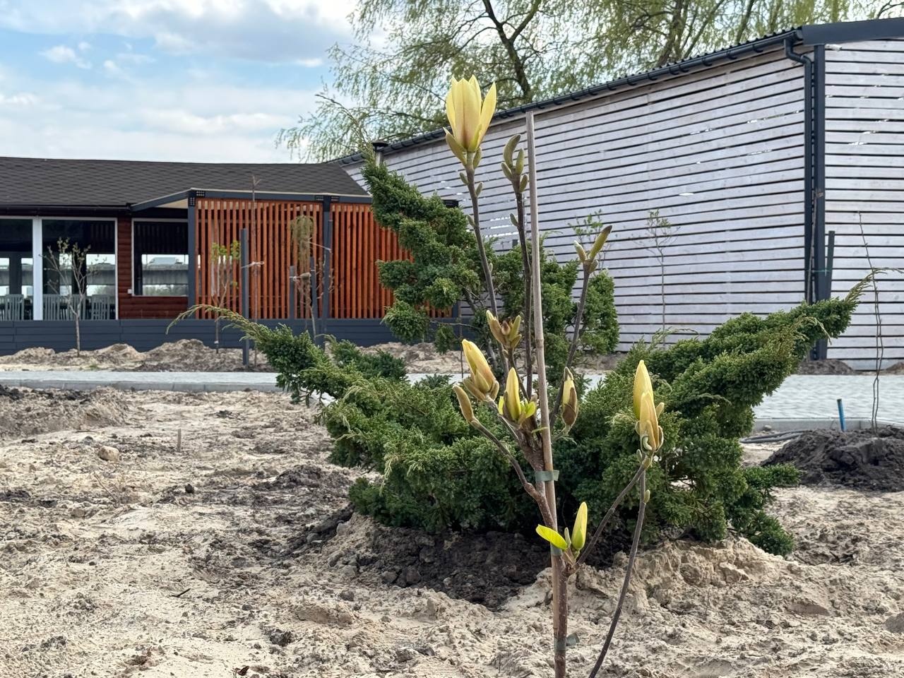 Озеленення Ріно Парку в Ікспарку: простір для відпочинку серед природи