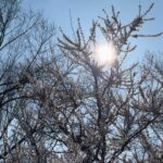 Будь-який день, коли ти в Ікспарку 💚