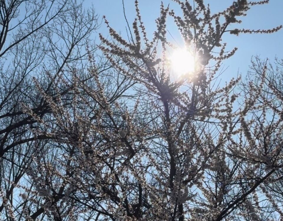 Будь-який день, коли ти в Ікспарку 💚