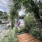 Друзі, в Ікспарку з’явився тролей Друзі, в Ікспарку з’явився тролей